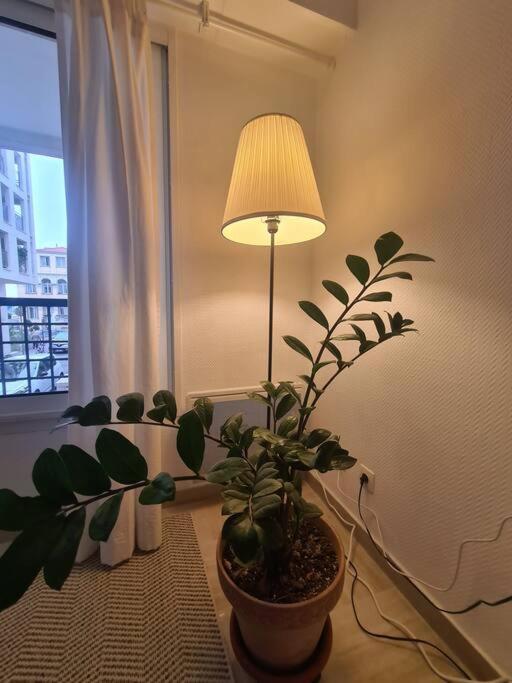 L'onda, Cosy 2 Pieces A Proches Plages